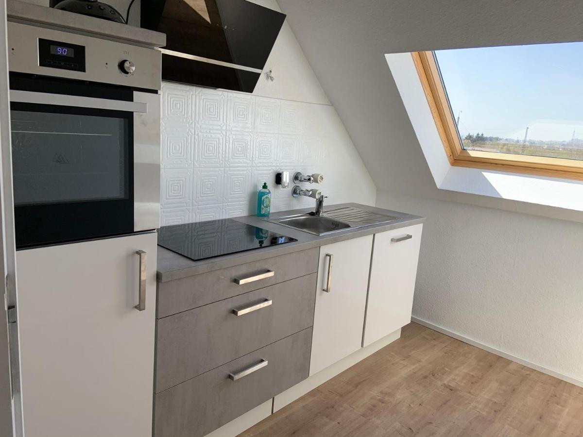 Apartment Theox No 2 Modernes Zwischen Mannheim & Heidelberg
